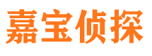 龙子湖市调查公司